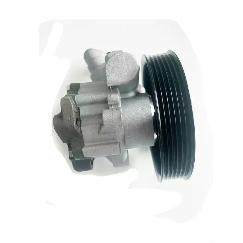 power steering pump for Terralord ZXAUTO steering system