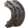 Rear Brake Shoes for Paladin, D23, Rich 6, and Navara